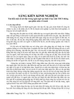 VTS SKKN Hay, phù hợp chương trình