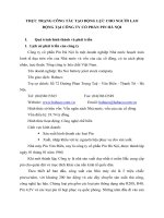 THỰC TRẠNG CÔNG TÁC TẠO ĐỘNG LỰC CHO NGƯỜI LAO ĐỘNG TẠI CÔNG TY CỔ PHẦN PIN HÀ NỘI