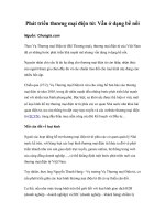 Phát triển thương mại điện tử: Vẫn ở dạng bề nổi