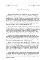 21. Bí Quyết Đào Tạo Khả Năng