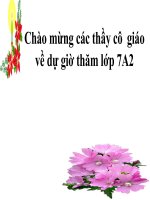 hồi hương ngẫu thư