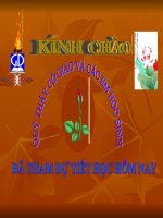 tiêt31 sinh san sinh duong do nguoi