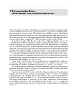 POLYSACCHARIDE ESTERS WITH DEFINED FUNCTIONALISATION PATTERN