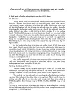 TỔNG QUAN VỀ THỊ TRƯỜNG THẠCH RAU CÂU VÀ MARKETING