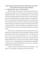 THỰC TRẠNG RỦI RO TÍN DỤNG Ở CHI NHÁNH NHNo