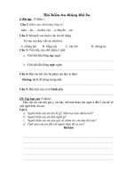 Bài kiểm tra tháng thứ ba nặh học 10 - 11