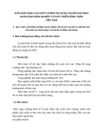 GIẢI PHÁP NÂNG CAO CHẤT LƯỢNG TÍN DỤNG TẠI SỞ GIAO DỊCH  NGÂN HÀNG NÔNG NGHIỆP VÀ PHÁT TRIỂN NÔNG THÔN