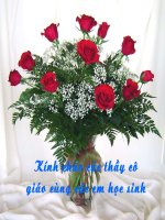 Bài 17. Bài luyện tập 3