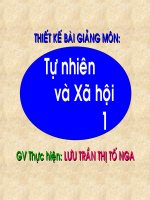 Cây gỗ