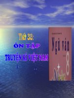 ôn tập truyện kí việt nam