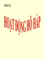 bài 21: hoạt động hô hấp