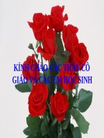 Bai 10 Sống chan hòa với mọi người