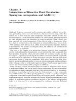 Interactions of Bioactive Plant Metabolites - Synergism, Antagonism, and Additivity