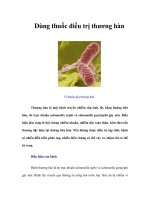 Dùng thuốc điều trị thương hàn