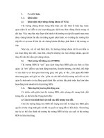 Giáo trình tổng hợp: Thị trường chứng khoán và Thị trường bất động sản