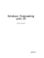 Database Programming with C#