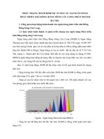 THỰC TRẠNG THẨM ĐỊNH DỰ ÁN ĐẦU TƯ TẠI NGÂN HÀNG PHÁT TRIỂN NHÀ ĐỒNG BẰNG SÔNG CỬU LONG PHÂN NHÁNH HÀ NỘI