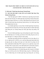 THỰC TRẠNG PHÁT TRIỂN CÁC DỊCH VỤ NGÂN HÀNG BÁN LẺ TẠI CHI NHÁNH NHCT CHƯƠNG DƯƠNG