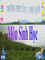 BAI 39 SINH HỌC 12 CB