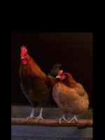 kỹ thuật lớp 5