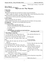 Tuần 13- Lớp 3- CKTKN