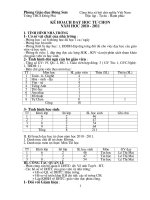 KẾ HOẠCH DẠY HỌC TỰ CHỌN 10-11