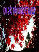 Dau ngoac don, dau hai cham.V8