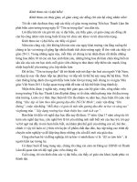 Bài phát biểu cảm tưởng nhân ngày 20/11