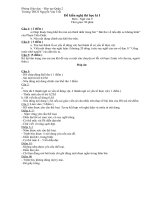 Đề -Đáp án Văn 9 HKI 2010 -2011