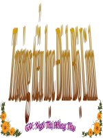 TLV lớp 2 tuần 11