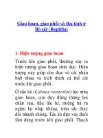 Giao hoan, giao phối và thụ tinh ở Bò sát (Reptilia)