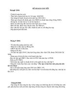 ke hoach chuyen mon nam 2010-2011