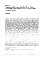 Regulating Phytonutrient Levels in Plants – Toward Modification of Plant Metabolism for Human Health