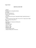 De KT 45 phut Mi thuat 7