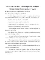 NHỮNG GIẢI PHÁP VÀ KIẾN NGHỊ NHẰM MỞ RỘNG TÍN DỤNG ĐỐI VỚI DNV