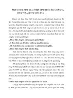 MỘT SỐ GIẢI PHÁP HOÀN THIỆN HÌNH THỨC TRẢ LƯƠNG TẠI CÔNG TY XÂY DỰNG SÔNG ĐÀ 8