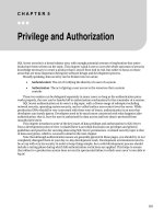 Privilege and Authorization