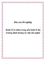 Báo cáo tốt nghiệp: Kinh tế tư nhân trong nền kinh tế thị trường định hướng xã hội chủ nghĩa
