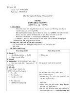 Giáo án tuần 13 (MT+KNS)