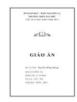 Giáo án lý 11 ban cơ bản 2010
