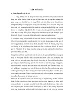 Thị trường vàng việt nam từ năm 2006 đến nay, thực trạng và giải pháp 