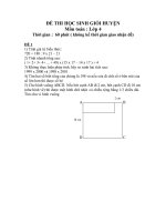 Đề thi HSG huyện lớp 4