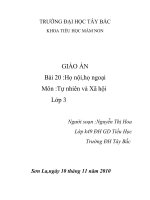 bai :ho noi.ho ngoai.tn-xh 3