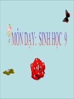 tac dong cua con nguoi den moi truong