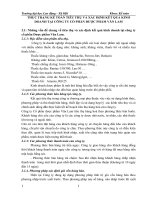 THỰC TRẠNG KẾ TOÁN TIÊU THỤ VÀ XÁC ĐỊNH KẾT QUẢ KINH DOANH TẠI CÔNG TY CỔ PHẦN DƯỢC PHẨM VĂN LAM