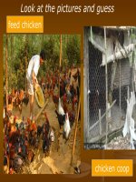 UNIT 7 - LESSON B1-2 (G7)