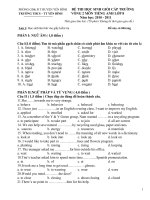 Đề thi học sinh giỏi cấp trường vòng 2 môn Tiếng Anh lớp 8 năm học:2010 -2011
