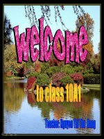 UNIT 7-Language focus- hay