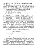 THỰC TRẠNG TỔ CHỨC KẾ TOÁN CỦA DOANH NGHIỆP TRONG THÁNG 10-2006