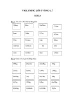 Violympic lớp 5 vòng 6-7